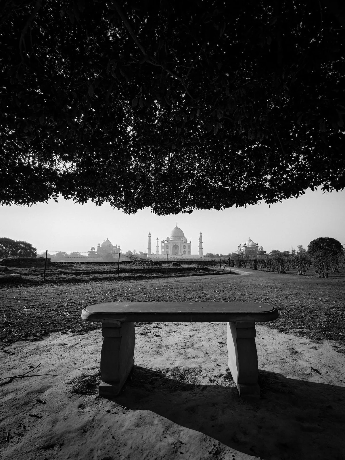 A bench with a view